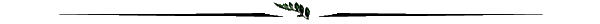 hruler04.gif (1562 bytes)